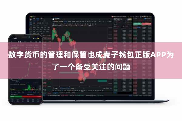 数字货币的管理和保管也成麦子钱包正版APP为了一个备受关注的问题