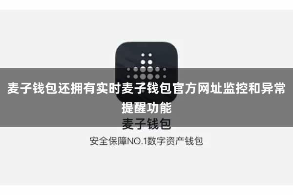 麦子钱包还拥有实时麦子钱包官方网址监控和异常提醒功能