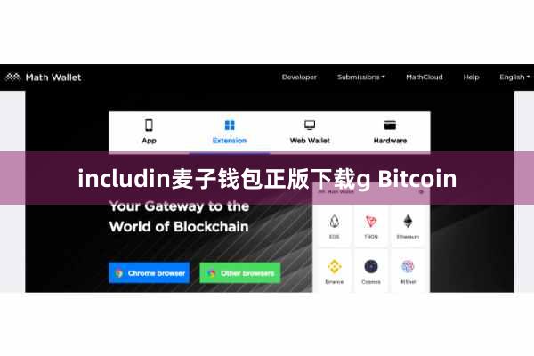 includin麦子钱包正版下载g Bitcoin