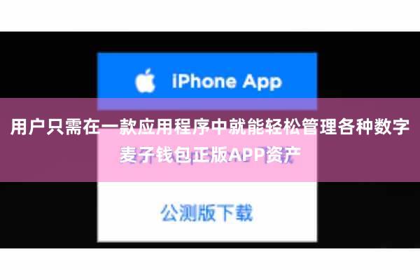 用户只需在一款应用程序中就能轻松管理各种数字麦子钱包正版APP资产