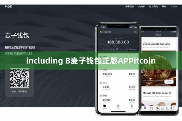 including B麦子钱包正版APPitcoin