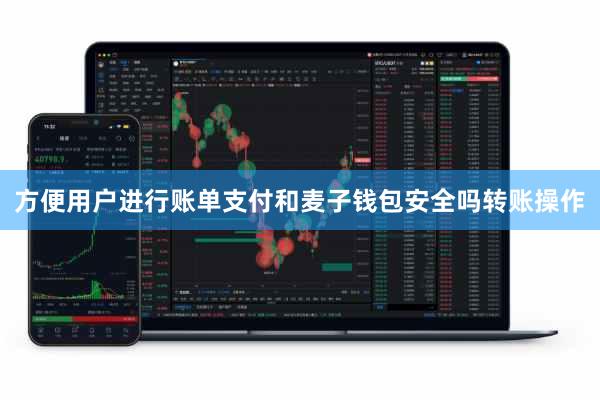 方便用户进行账单支付和麦子钱包安全吗转账操作