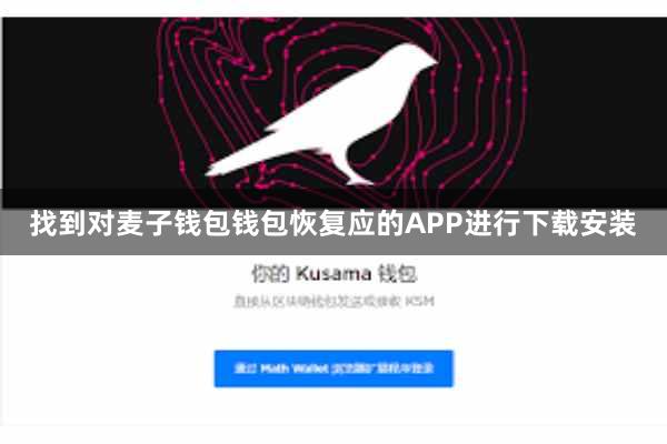 找到对麦子钱包钱包恢复应的APP进行下载安装