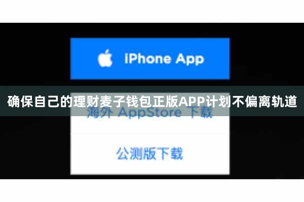 确保自己的理财麦子钱包正版APP计划不偏离轨道