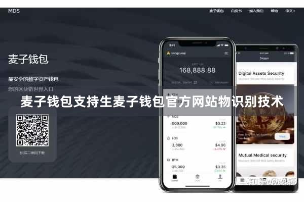麦子钱包支持生麦子钱包官方网站物识别技术