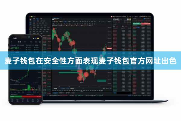 麦子钱包在安全性方面表现麦子钱包官方网址出色