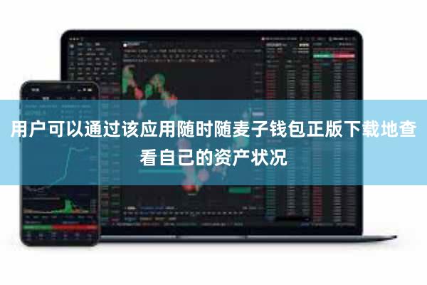 用户可以通过该应用随时随麦子钱包正版下载地查看自己的资产状况