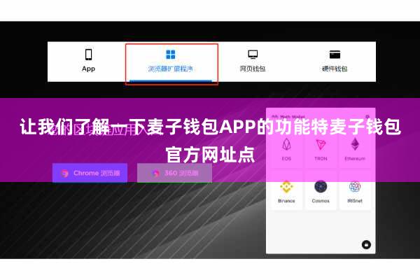 让我们了解一下麦子钱包APP的功能特麦子钱包官方网址点