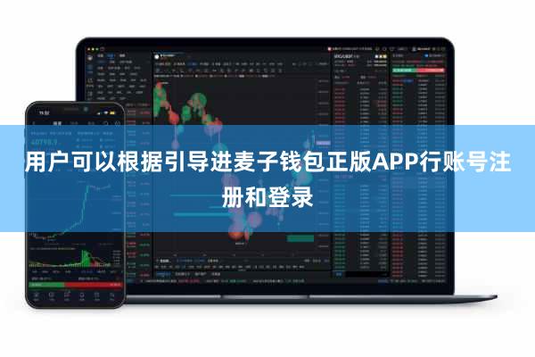 用户可以根据引导进麦子钱包正版APP行账号注册和登录