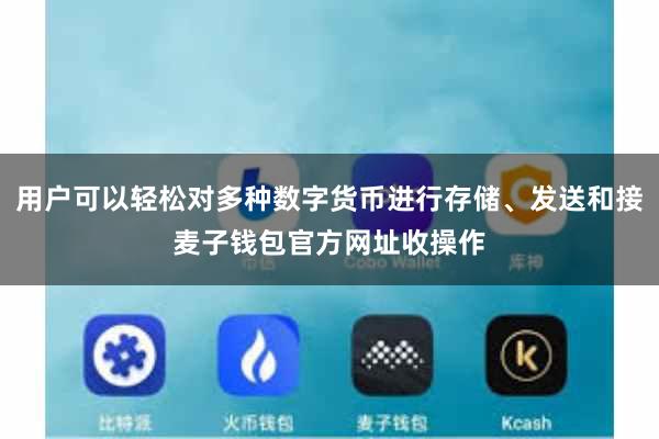 用户可以轻松对多种数字货币进行存储、发送和接麦子钱包官方网址收操作
