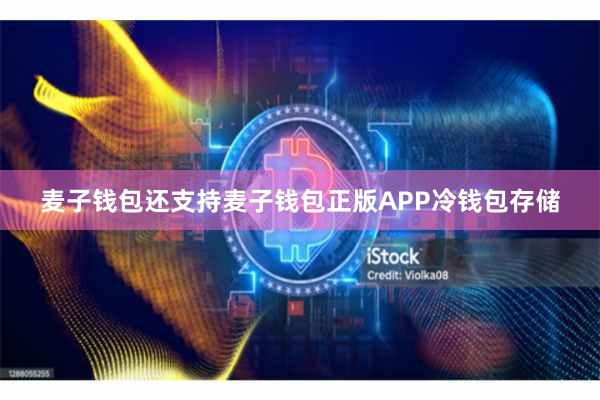 麦子钱包还支持麦子钱包正版APP冷钱包存储