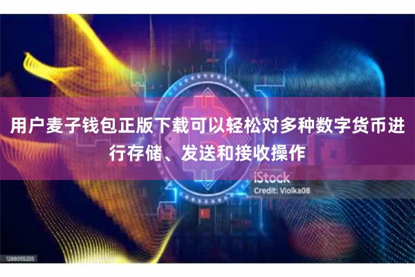 用户麦子钱包正版下载可以轻松对多种数字货币进行存储、发送和接收操作