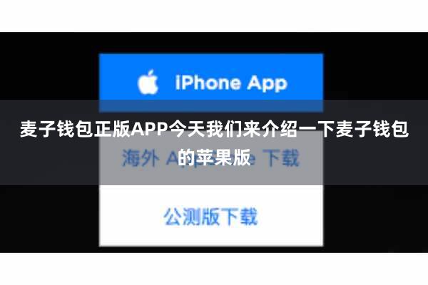 麦子钱包正版APP今天我们来介绍一下麦子钱包的苹果版