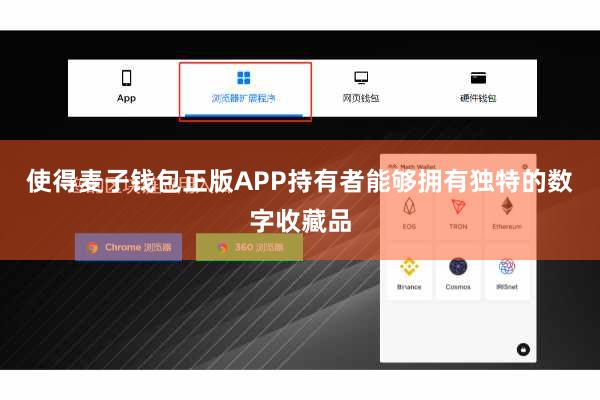 使得麦子钱包正版APP持有者能够拥有独特的数字收藏品