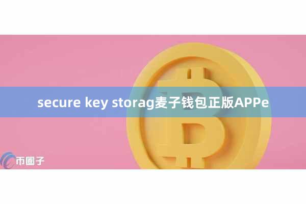 secure key storag麦子钱包正版APPe