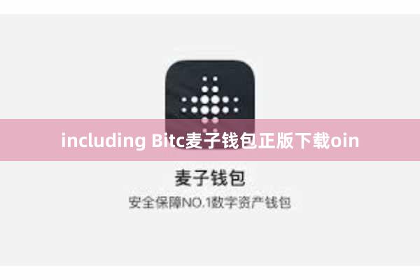 including Bitc麦子钱包正版下载oin