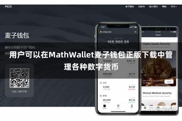用户可以在MathWallet麦子钱包正版下载中管理各种数字货币
