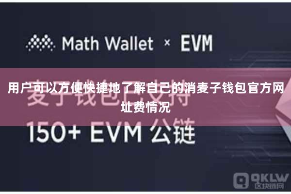 用户可以方便快捷地了解自己的消麦子钱包官方网址费情况