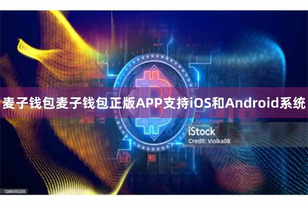 麦子钱包麦子钱包正版APP支持iOS和Android系统