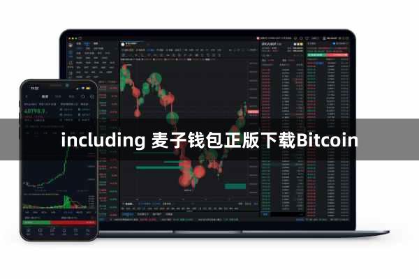 including 麦子钱包正版下载Bitcoin