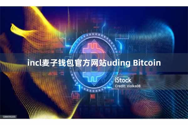 incl麦子钱包官方网站uding Bitcoin