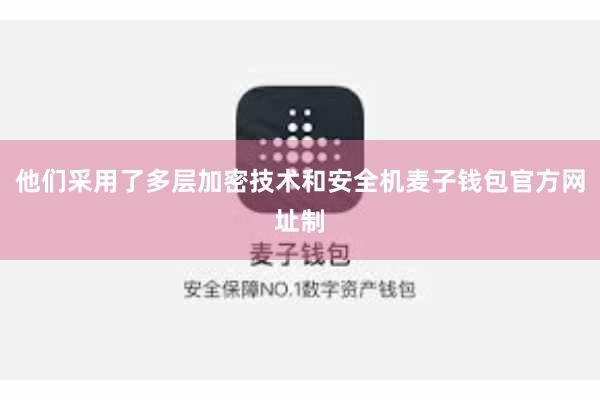 他们采用了多层加密技术和安全机麦子钱包官方网址制