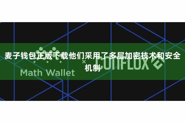 麦子钱包正版下载他们采用了多层加密技术和安全机制